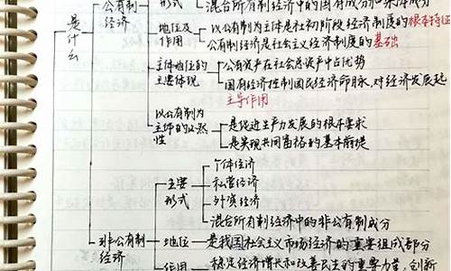 高考政治笔记必背篇目_高考政治笔记