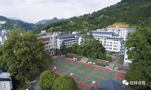 龙胜中学高考成绩_龙胜中学2019高考金榜