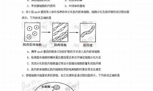 2021山东高考理综试卷,2024高考理综山东卷