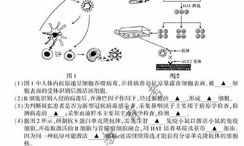 高考生物大题答案,高考生物大题答题套路